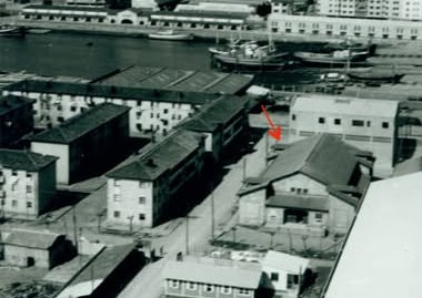 Cine Sotileza Amplia