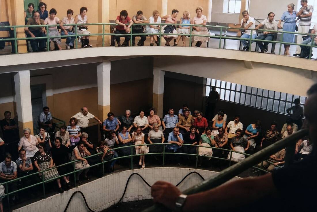 Vista de la sala de subastas desde el lado de los compradores, sentados en las gradas siguiendo la rula.